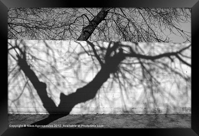tree shadow on concrete wall Framed Print by Alfani Photography