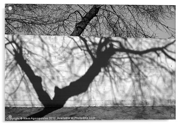 tree shadow on concrete wall Acrylic by Alfani Photography