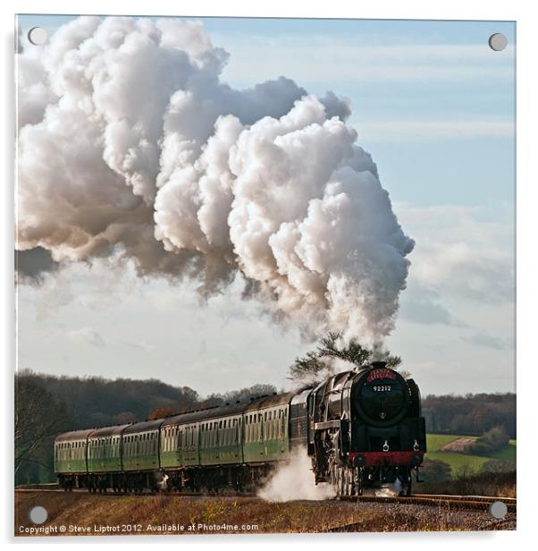 Mid-Hants Railway Acrylic by Steve Liptrot