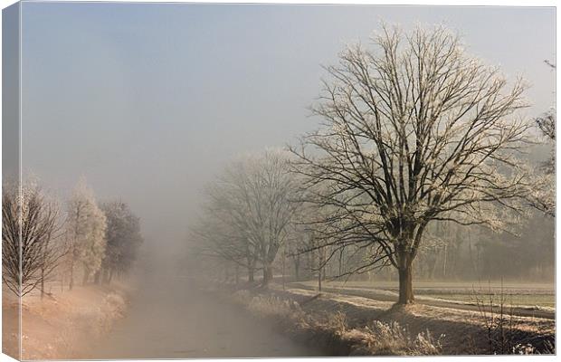 Frosted Morning Canvas Print by Canvas Landscape Peter O'Connor