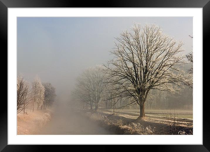 Frosted Morning Framed Mounted Print by Canvas Landscape Peter O'Connor
