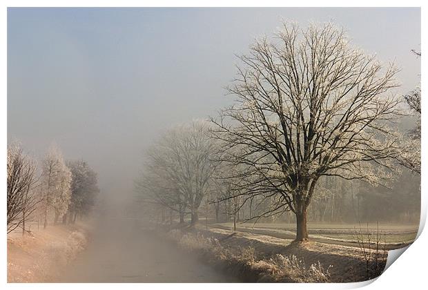 Frosted Morning Print by Canvas Landscape Peter O'Connor