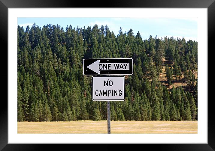 No camping sign Framed Mounted Print by Larry Stolle