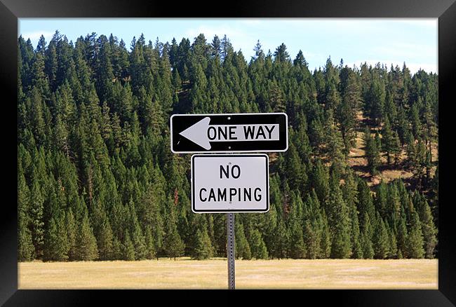 No camping sign Framed Print by Larry Stolle