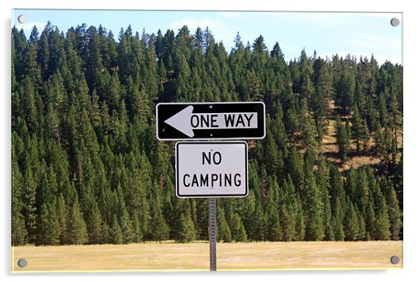 No camping sign Acrylic by Larry Stolle