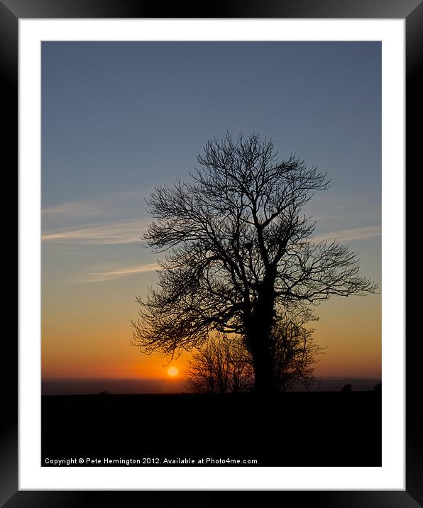 Hill top tree silhouetted against the sunset Framed Mounted Print by Pete Hemington