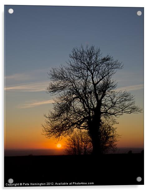 Hill top tree silhouetted against the sunset Acrylic by Pete Hemington