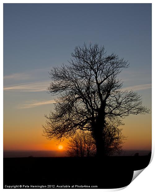 Hill top tree silhouetted against the sunset Print by Pete Hemington