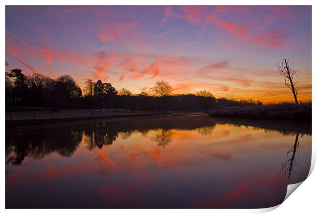 Frosty Sunrise over Coltishall Common Print by Paul Macro