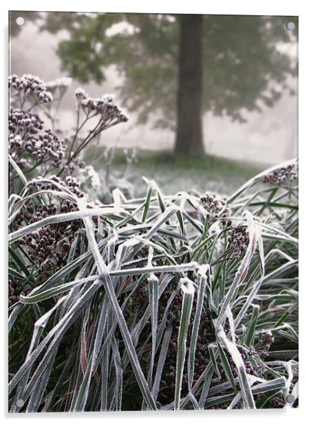 Frosted Grass Acrylic by Brian Sharland