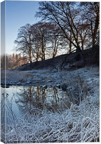 Winter Reflections Canvas Print by David Pringle