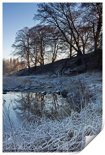 Winter Reflections Print by David Pringle