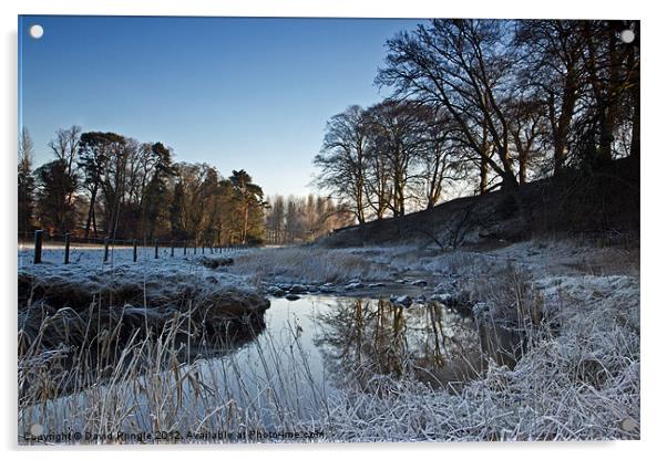 River Wansbeck In Winter Acrylic by David Pringle