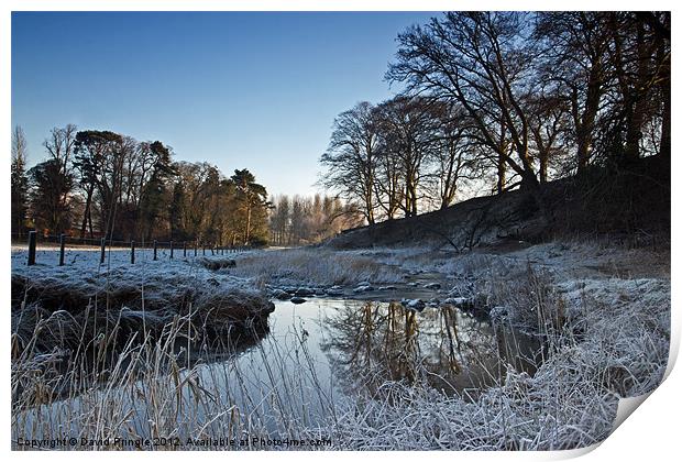River Wansbeck In Winter Print by David Pringle