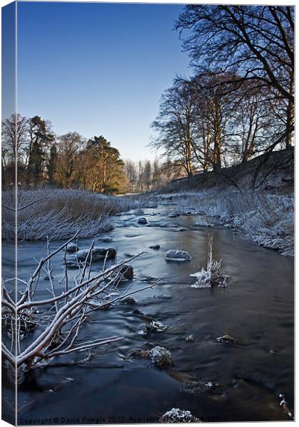 Winter River Canvas Print by David Pringle