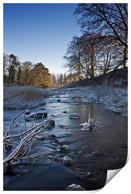 Winter River Print by David Pringle