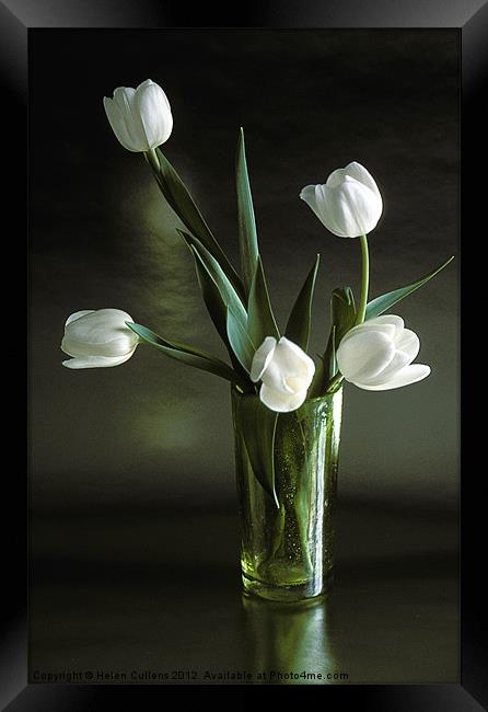 WHITE TULIPS Framed Print by Helen Cullens