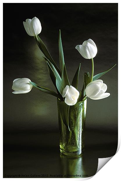 WHITE TULIPS Print by Helen Cullens