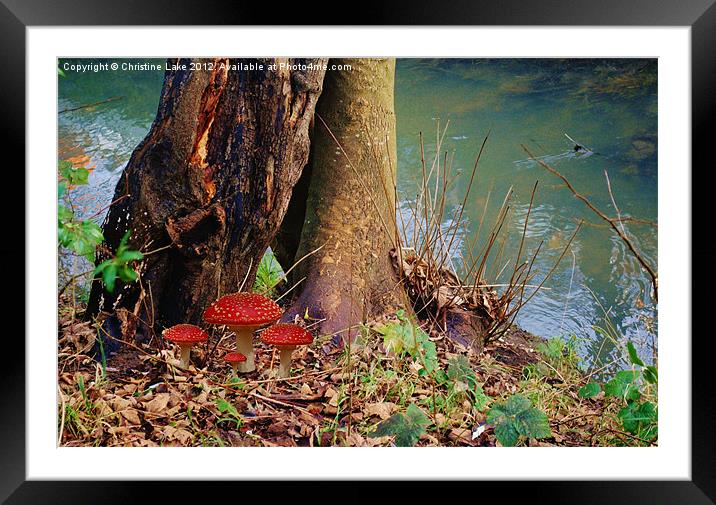 Down by the Riverbank Framed Mounted Print by Christine Lake