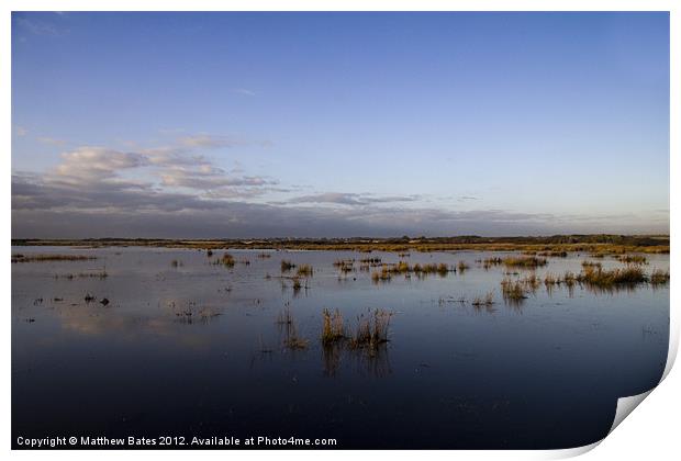 Hampshire Nature Reserve. Print by Matthew Bates