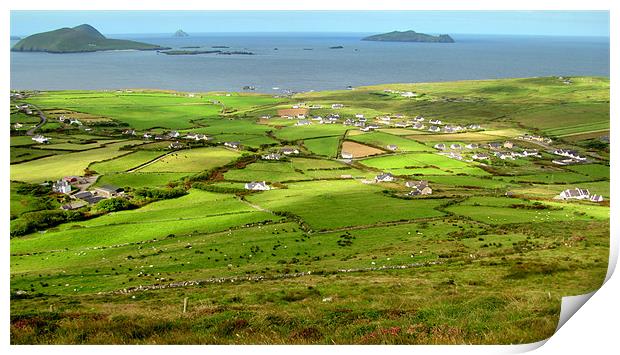 Blasket Island Print by barbara walsh