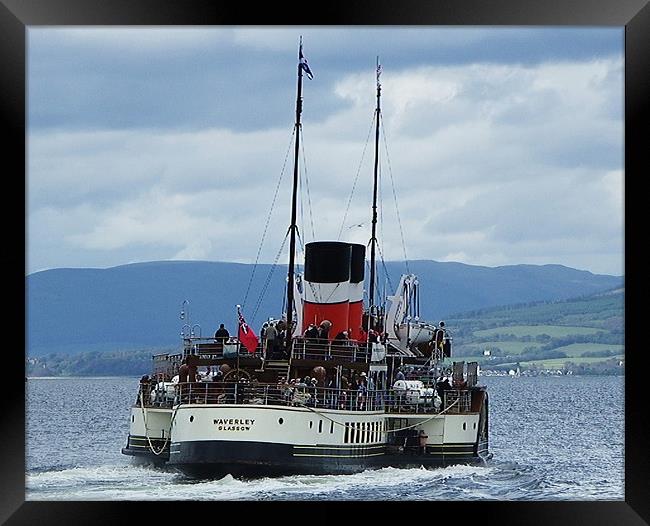 The Waverley Paddle Steamer Framed Print by Dawn Gillies