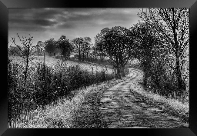Along The Lane Framed Print by richard downes