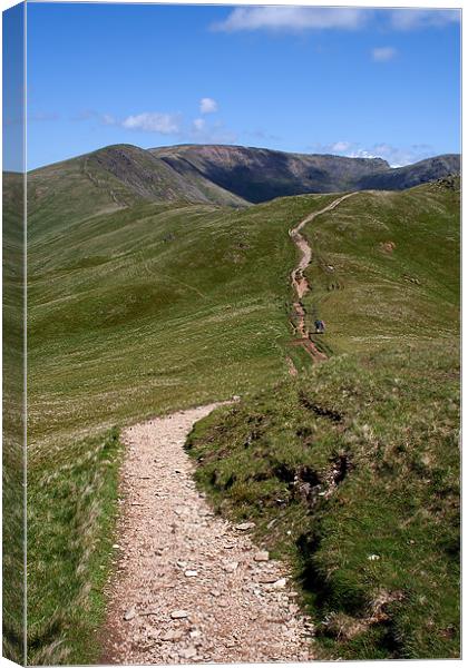 Fairfield Horseshoe Canvas Print by Roger Green