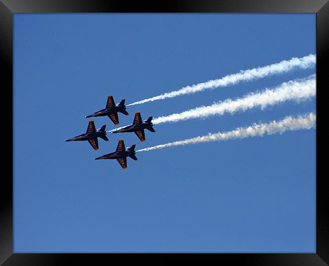 Blue Angels Framed Print by Larry Stolle