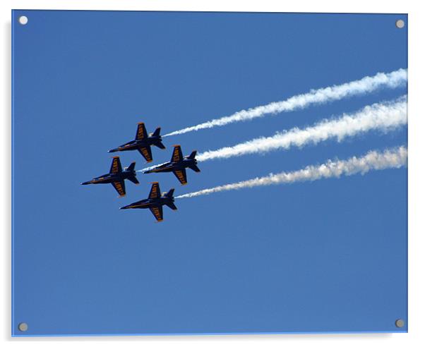 Blue Angels Acrylic by Larry Stolle