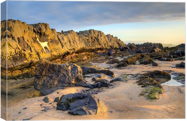 Stag Rock,Bamburgh Canvas Print by Kevin Tate
