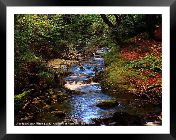 A hidden gem Framed Mounted Print by Sean Wareing