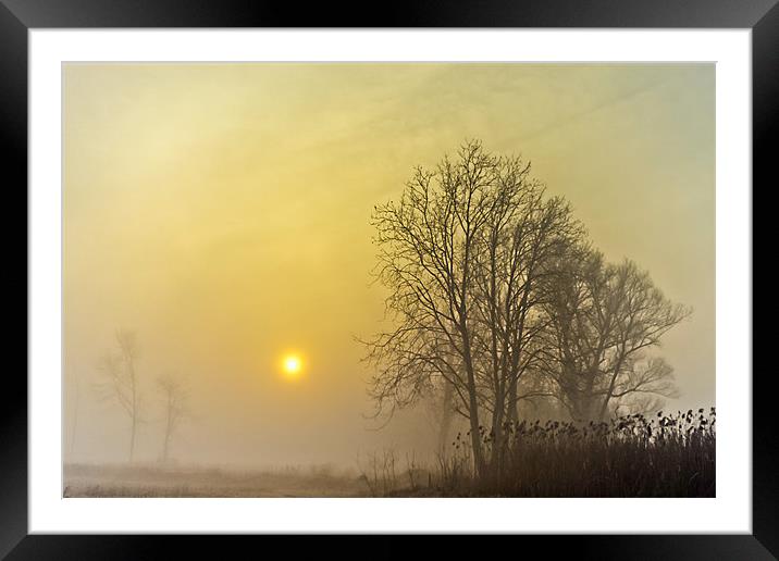 Half Past Dawn Framed Mounted Print by Canvas Landscape Peter O'Connor