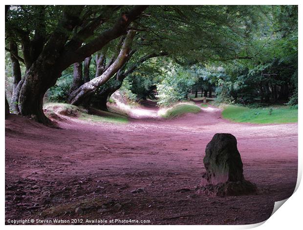 The Triscombe Stone Print by Steven Watson