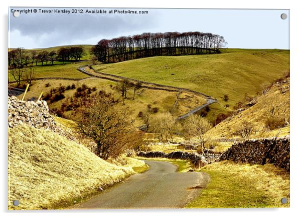 Coverdale Country Road Acrylic by Trevor Kersley RIP