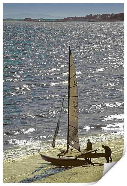 Sailing Print by Derek Vines