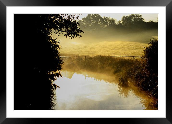 Misty Morning Framed Mounted Print by Jack Jacovou Travellingjour