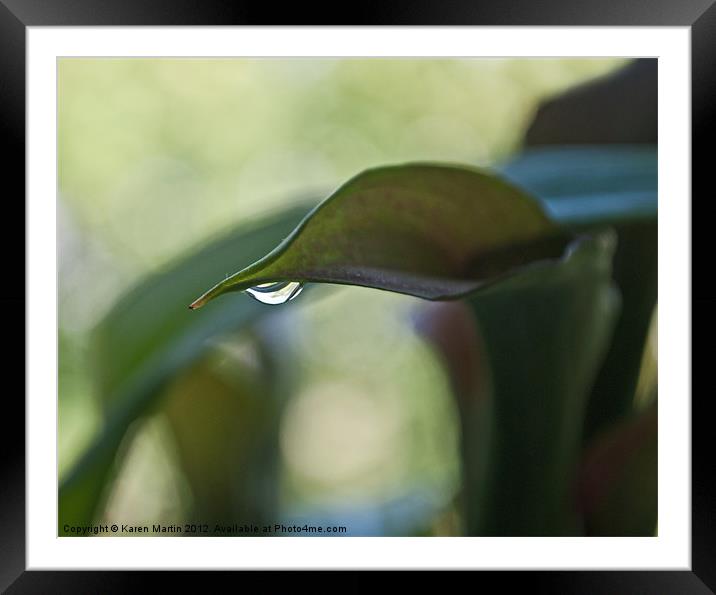 Water on Leaf Framed Mounted Print by Karen Martin