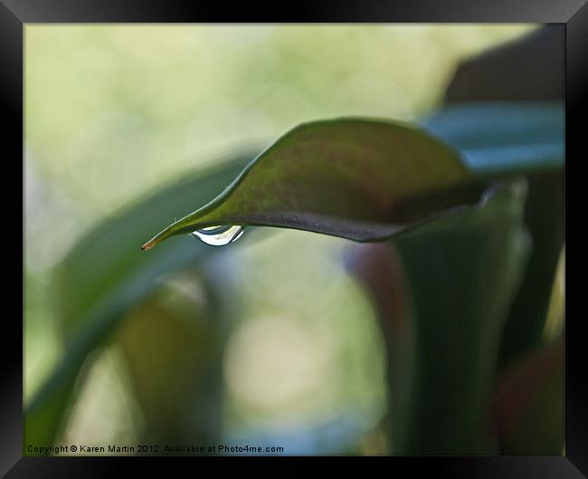 Water on Leaf Framed Print by Karen Martin