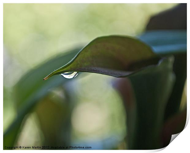 Water on Leaf Print by Karen Martin