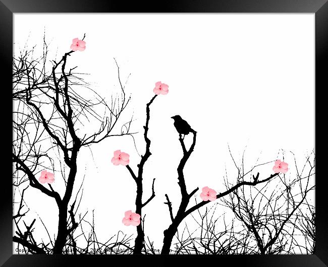 Silhouettes and blossoms Framed Print by Sharon Lisa Clarke