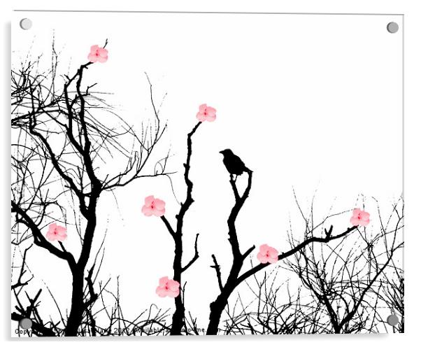 Silhouettes and blossoms Acrylic by Sharon Lisa Clarke