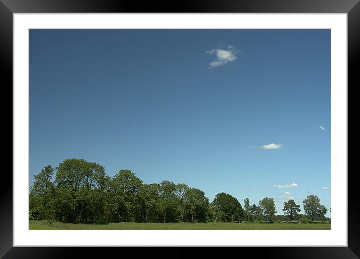 Green Trees With Blue Sky Framed Mounted Print by Canvas Landscape Peter O'Connor