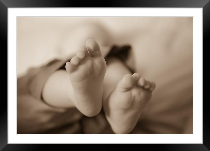 baby feet Framed Mounted Print by daniel sprackman