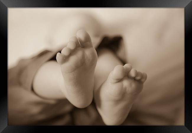 baby feet Framed Print by daniel sprackman