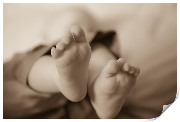 baby feet Print by daniel sprackman