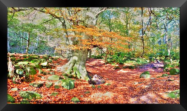 Padley Gorge Derbyshire UK Framed Print by Elaine Whitby