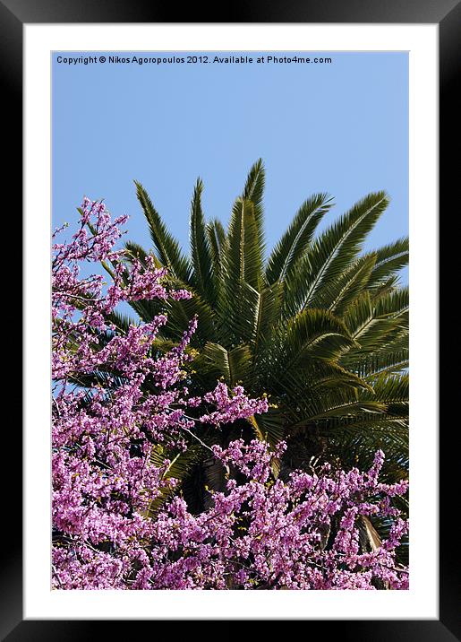 Spring view from Athens Framed Mounted Print by Alfani Photography