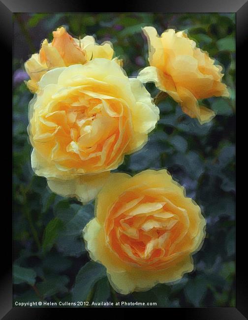 YELLOW ROSES Framed Print by Helen Cullens