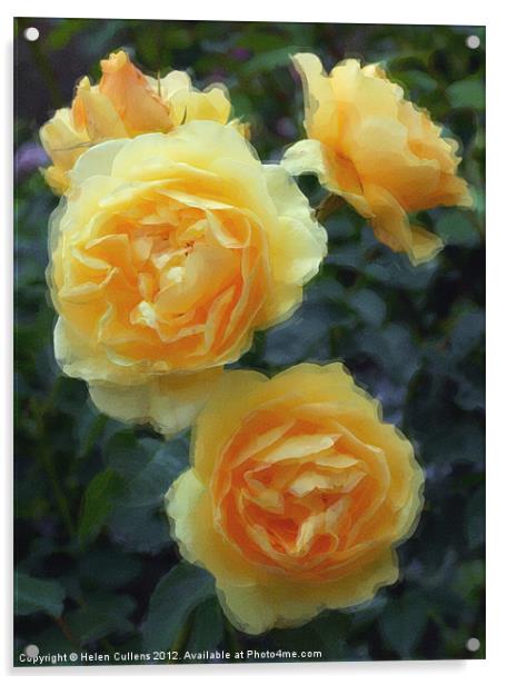 YELLOW ROSES Acrylic by Helen Cullens
